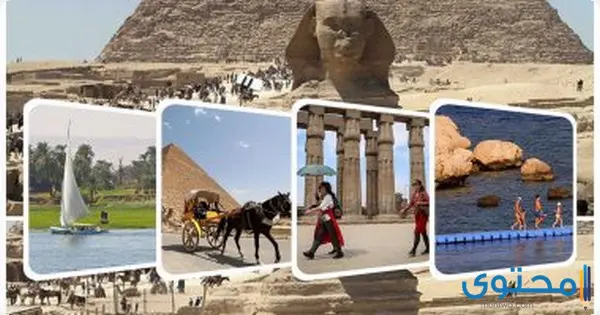 مشروع بحث عن السياحة في مصر بالعناصر الكاملة