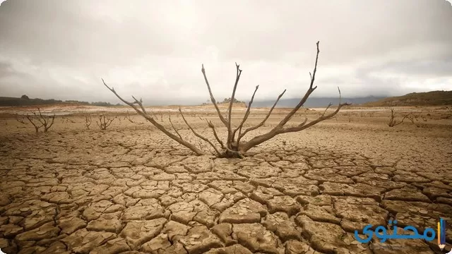 تفسير رؤية الجفاف في المنام لابن سيرين