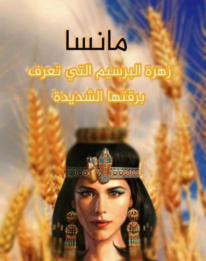 أسماء مصرية14