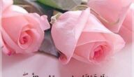 رسائل من القرآن وأجمل اقتباسات من القرآن الكريم 