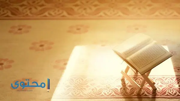 آيات قرآنية عن النجاح في العمل