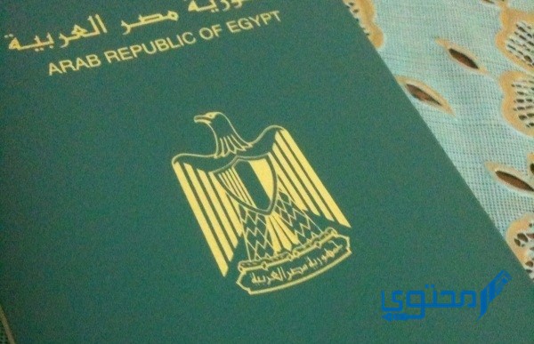 الاستعلام عن جواز السفر برقم الإيصال