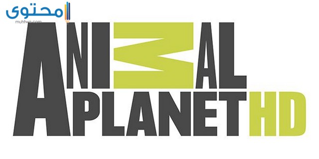 تردد قناة كوكب الحيوانات 2024 Animal Planet الجديد