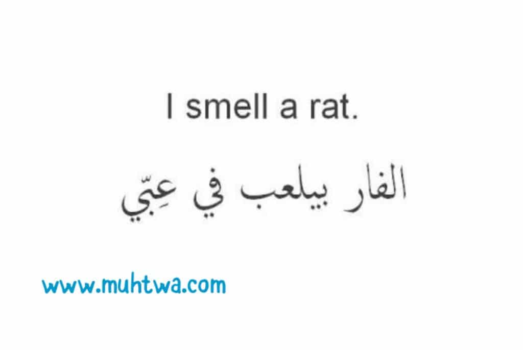 أمثال إنجليزية مترجمة للعربية