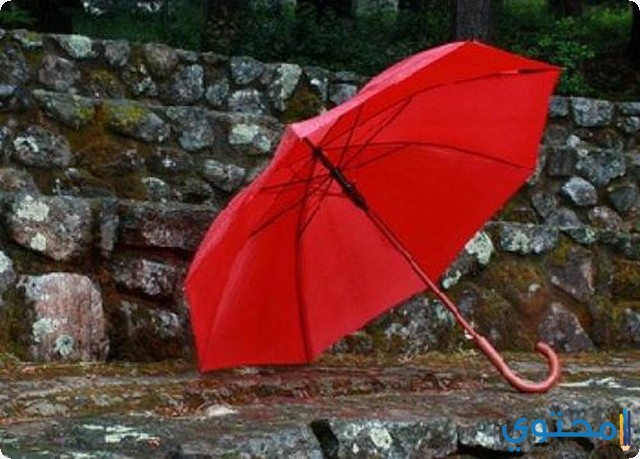 المظلات في المنام