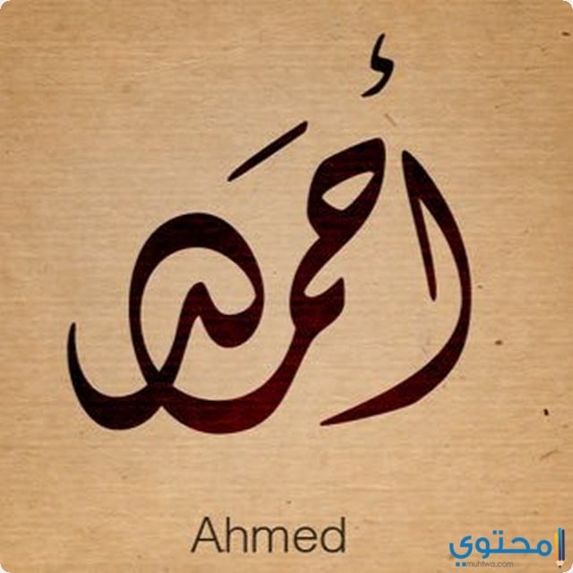 تفسير رؤية اسم أحمد في المنام يدل على الخير والرزق