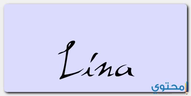 معنى اسم لينا