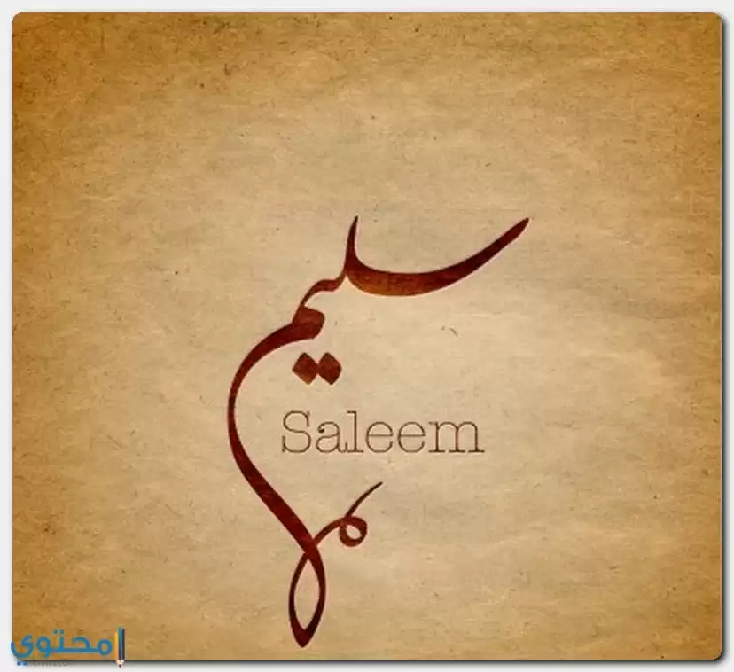 معنى اسم Saleem