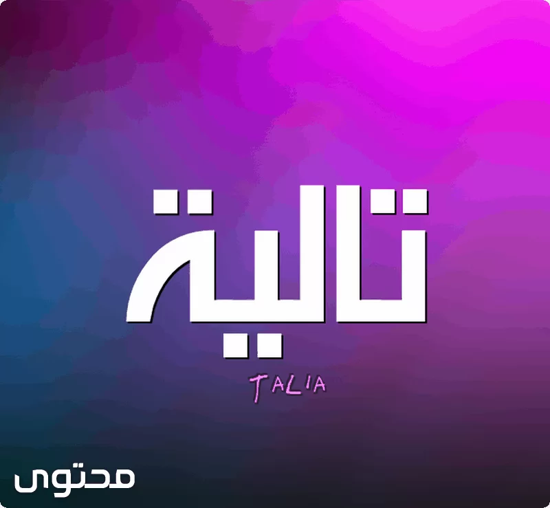 Talya2