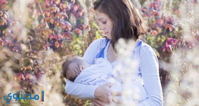 أفضل 8 أطعمة لزيادة لبن الأم في فترة الرضاعة