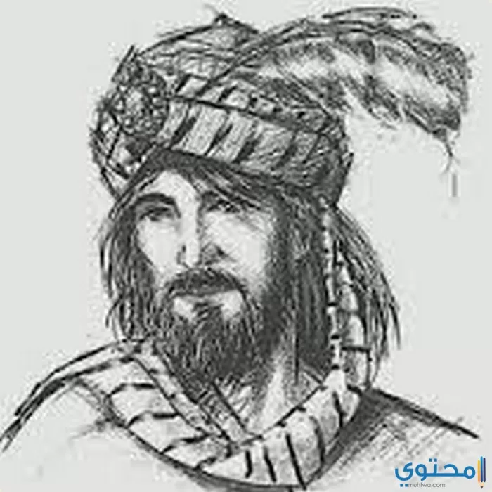 أشعار وقصائد عمرو بن كلثوم
