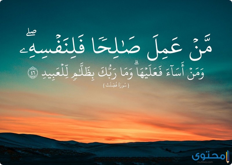 آيات قرآنية عن الظلم والصبر15