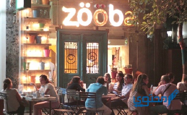 أسعار منيو ورقم عنوان فروع مطعم زوبا Zooba menu