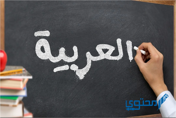 أقوى الحركات في اللغة العربية هي 4 (الضمة الفتحة الكسرة السكون)