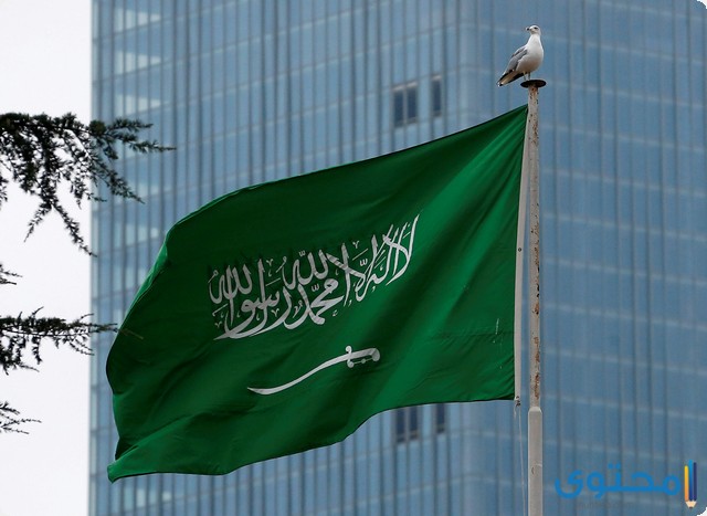 أكبر المحافظات في السعودية