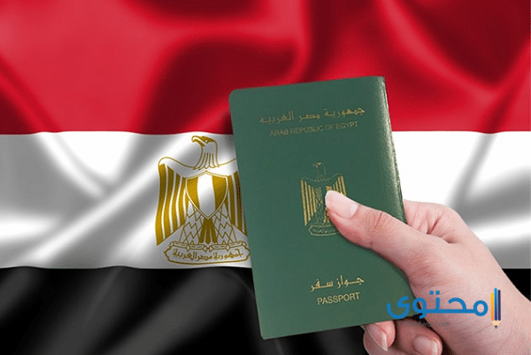 جوازات السفر المصرية