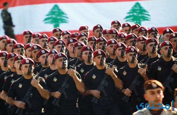 قصيدة شعرية للجيش اللبناني الباسل