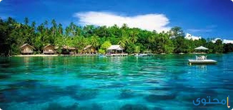 جزر سليمان الاستوائية