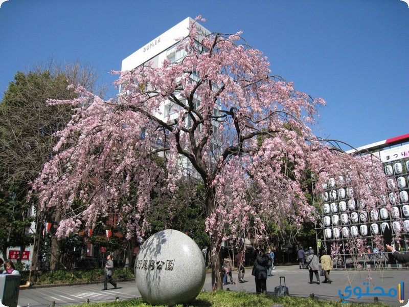 اجمل حدائق اليابان بالصور 2024