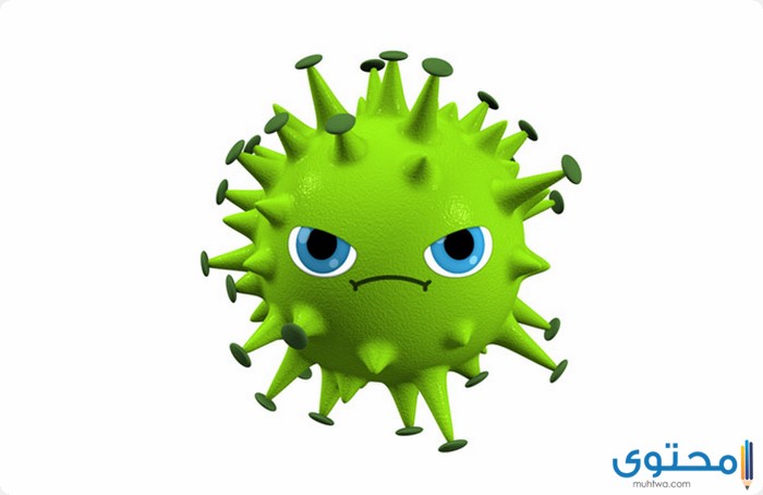بحث عن الفيروسات وطرق الحماية منها3
