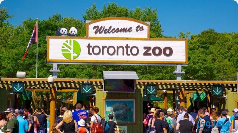 حديقة حيوان تورونتو
