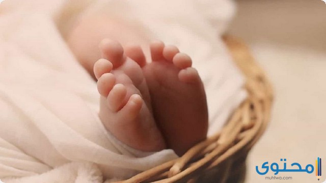 صور ومعلومات عن حادثة الطفل الرضيع