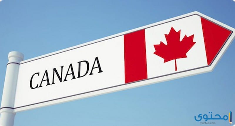 خطوات الهجرة من مصر إلى كندا 3