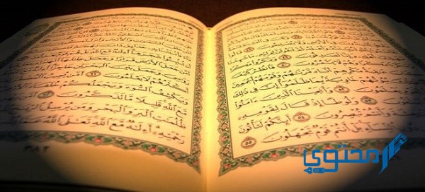 للشيخ السديس؛ دعاء ختم القرآن بخط واضح PDF