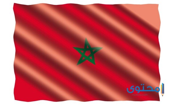 رسومات علم المغرب للتلوين10