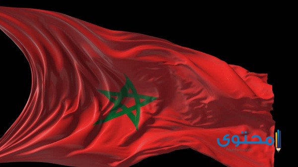 رسومات علم المغرب للتلوين5
