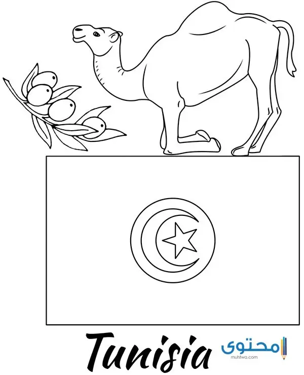 رسومات علم تونس للتلوين4