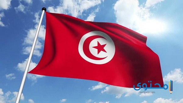 رسومات علم تونس للتلوين5