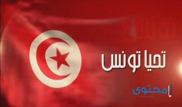 رسومات علم تونس للتلوين7