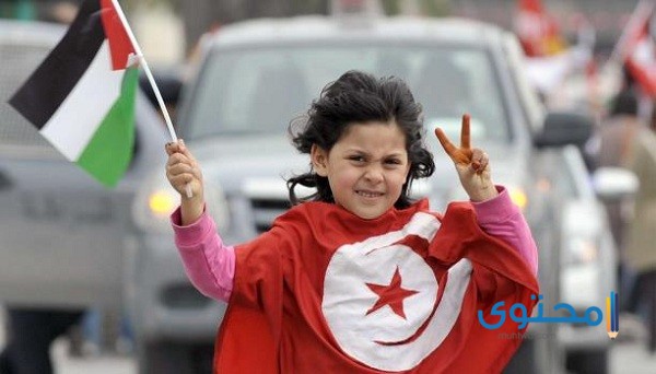 رسومات علم تونس للتلوين9