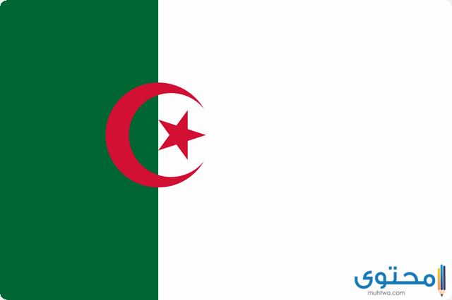 عدد سكان الجزائر 2024 بالتفصيل