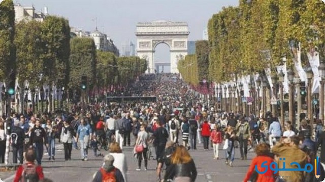 كم عدد سكان فرنسا بالتفصيل 2024