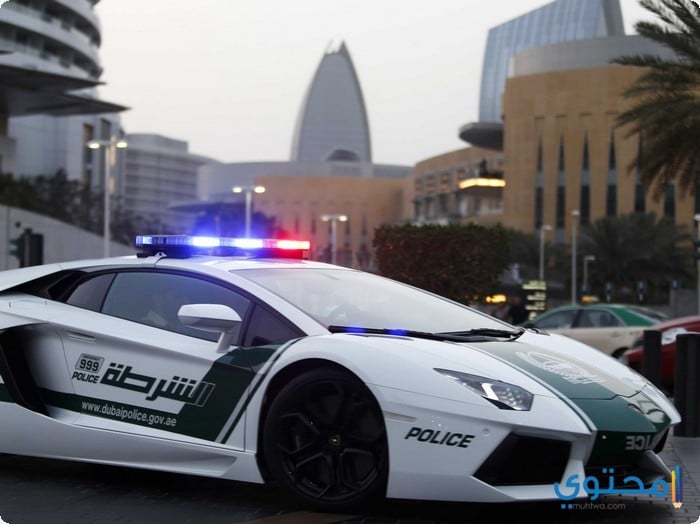 سيارات الشرطة في دبي