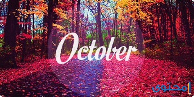 شهر أكتوبر كم يوم