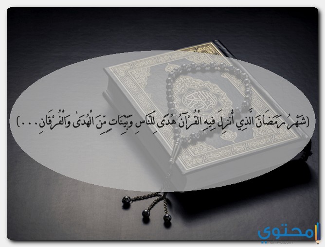 القرآن في صلاة التراويح
