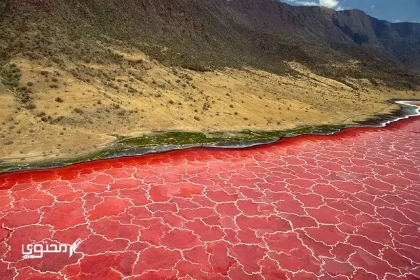 صور أجمل البحيرات الملونة في العالم 2024