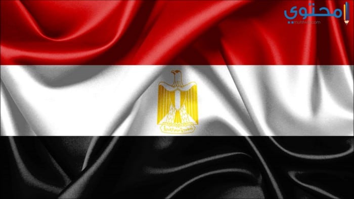 صور علم مصر 201803