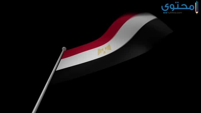 صور علم مصر 201816