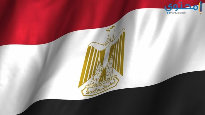 صور علم مصر 201822