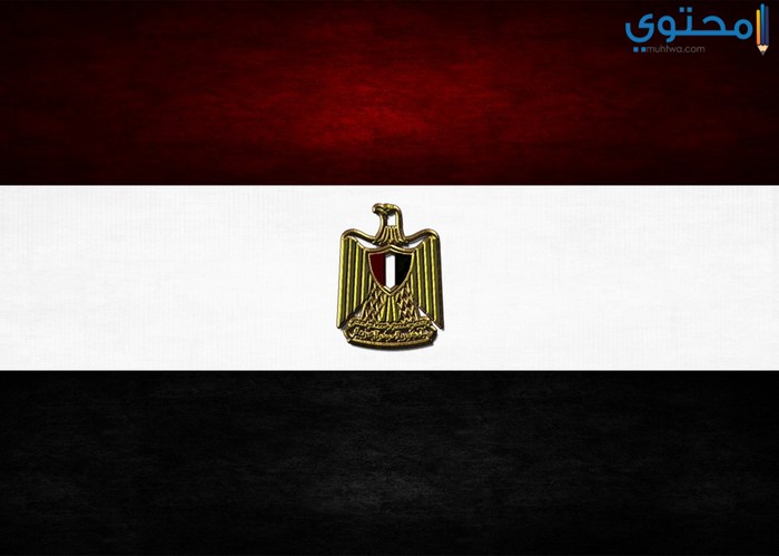صور علم مصر 20184