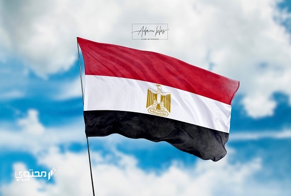 صور علم مصر 2024 للفيس بوك