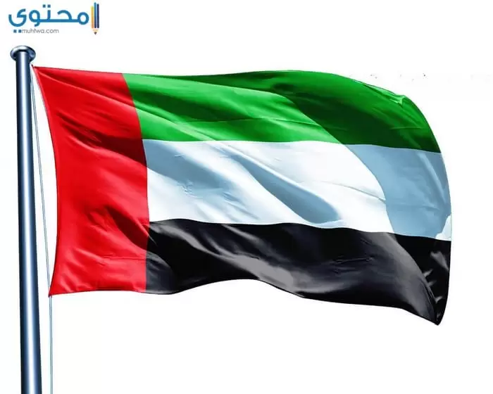 صور علم الإمارات للفيس بوك 