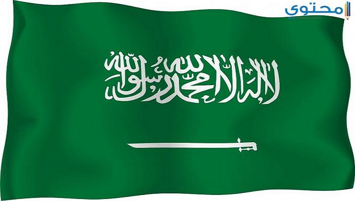 علم السعودية 06