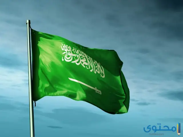 رسومات علم السعودية للتلوين 2024 رسم علم المملكة