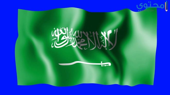 علم السعودية 10