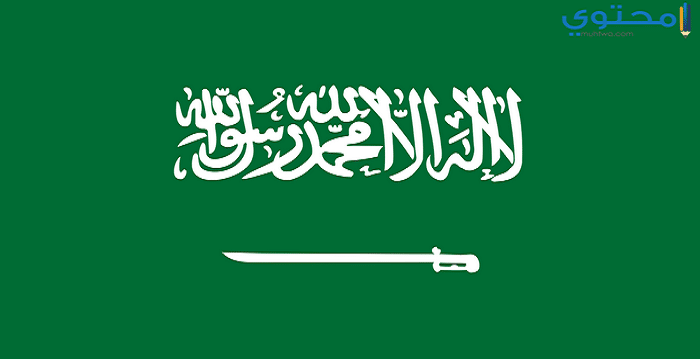 علم السعودية 21